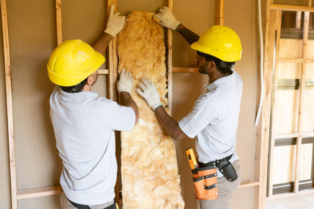 Best Insulation Removal  in Patrick Springs, VA