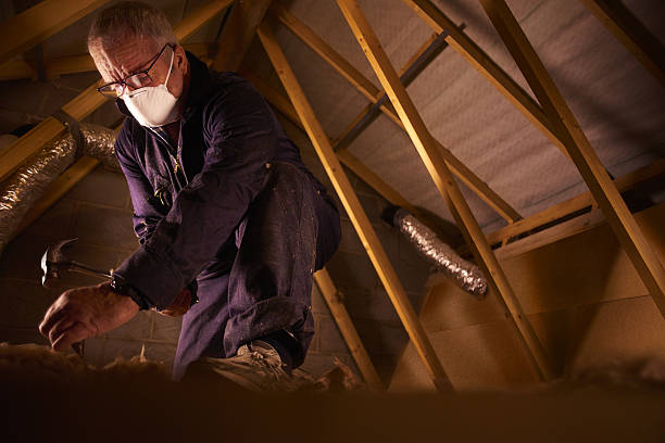Best Insulation Repair Services  in Patrick Springs, VA
